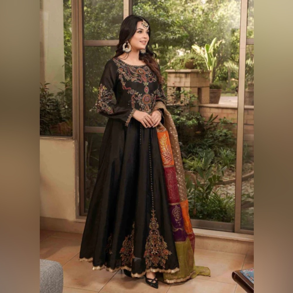 Beautiful indian/pakistani dress